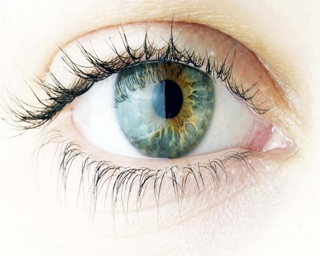 Vitreo Retinal Cerrahi